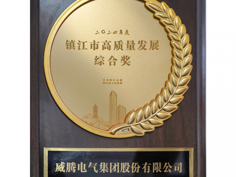 喜讯│Z6尊龙凯时荣获2024年度镇江市高质量发展综合奖